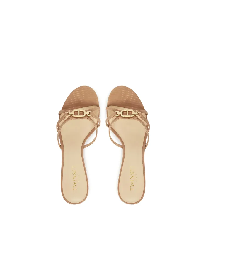 251TCP102 Camel 5